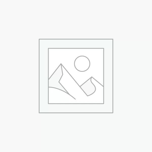 Next Day Delivery Awaiting product image